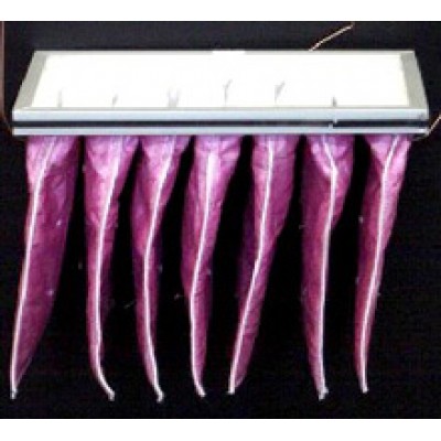 BFVR 700 E Filter EU7